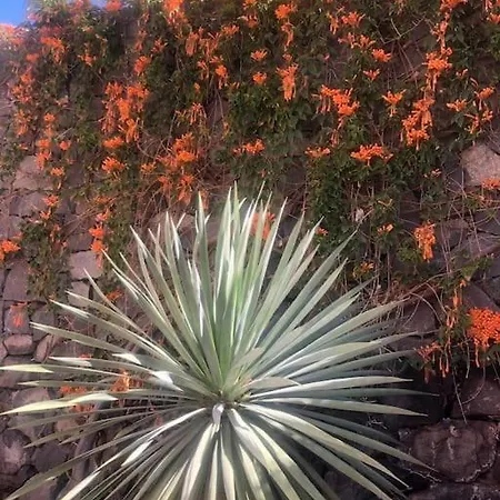 Terrazza Giardino غيا ذي إسورا